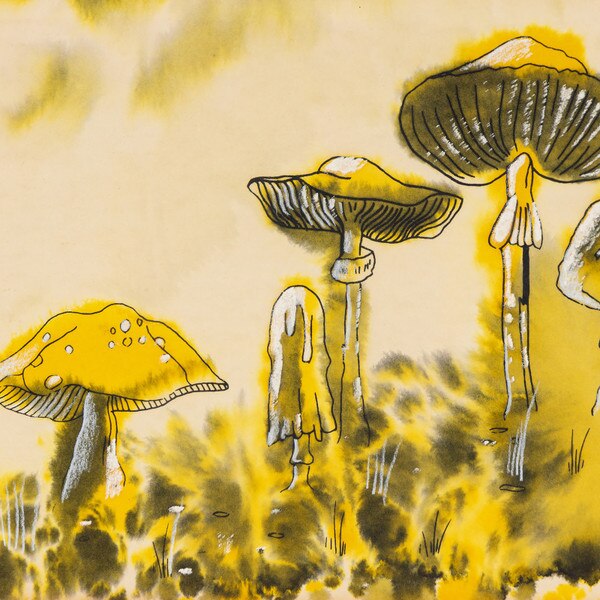 Mushroom Framed Artwork Macro 2